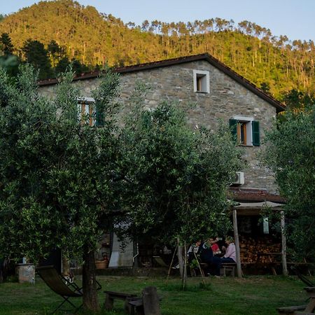 Agriturismo I Due Ghiri - Cinque Terre Calice al Cornoviglio エクステリア 写真