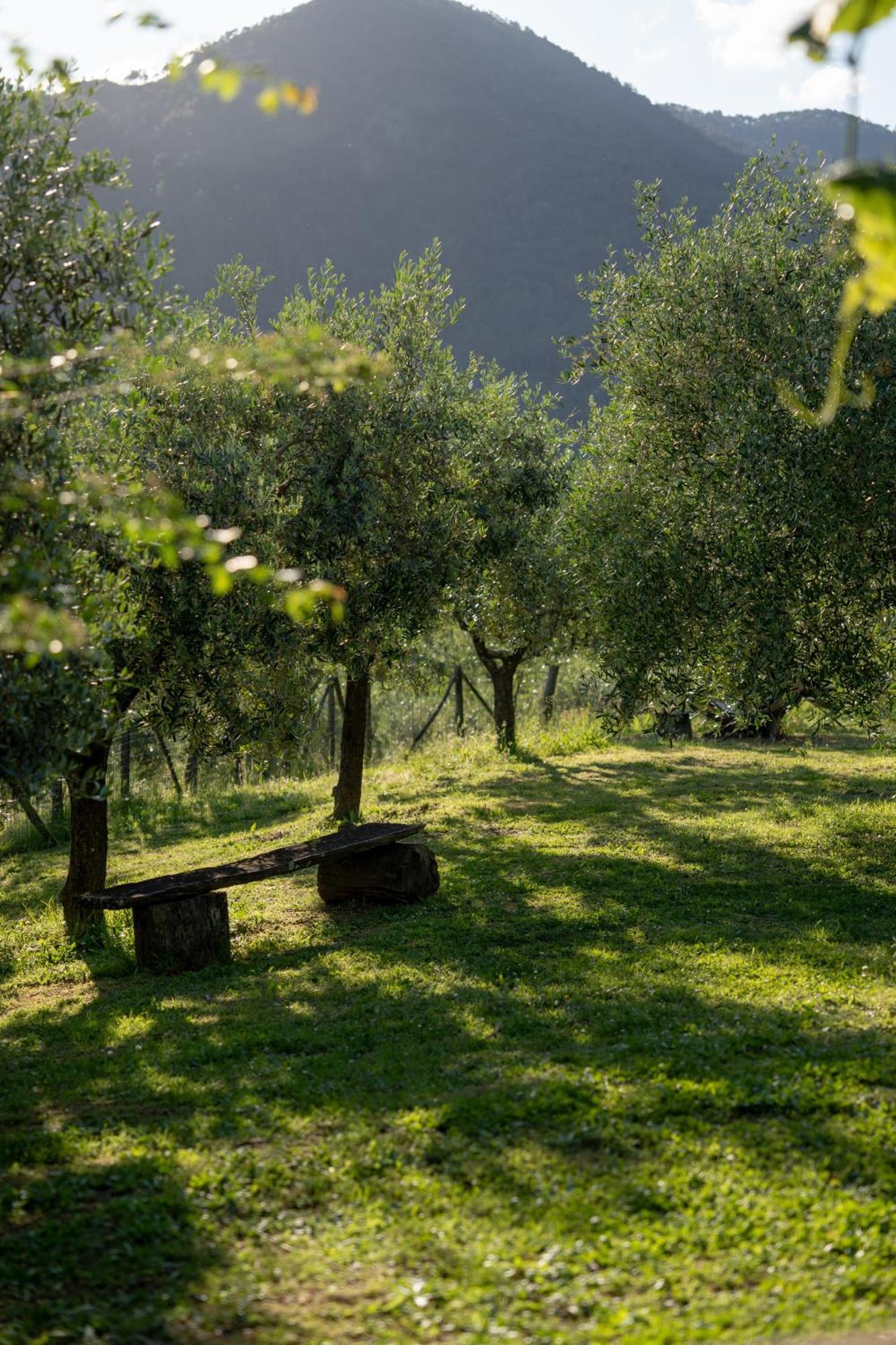 Agriturismo I Due Ghiri - Cinque Terre Calice al Cornoviglio エクステリア 写真