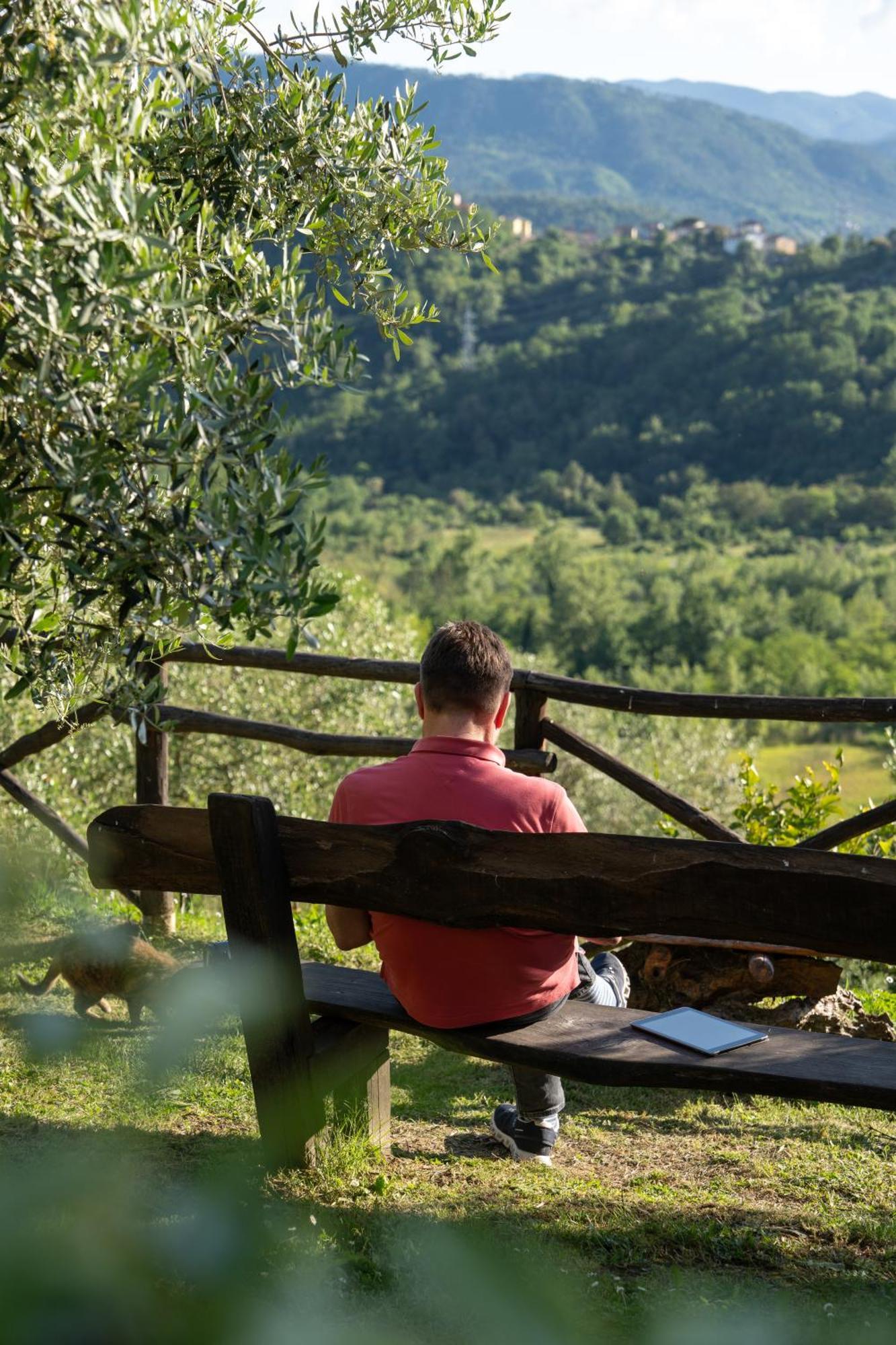 Agriturismo I Due Ghiri - Cinque Terre Calice al Cornoviglio エクステリア 写真