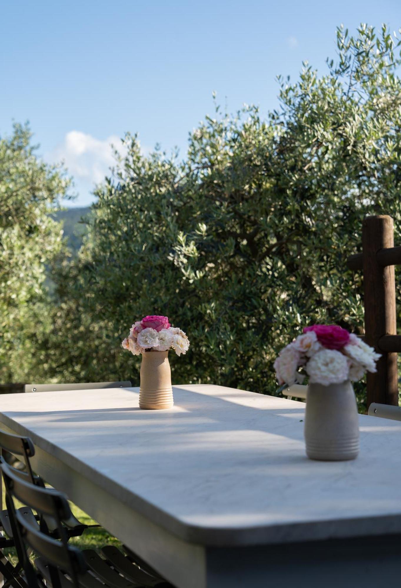 Agriturismo I Due Ghiri - Cinque Terre Calice al Cornoviglio エクステリア 写真